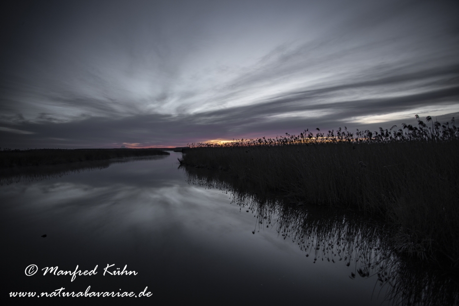 Federsee (Baden-Wuerttemberg)_0093