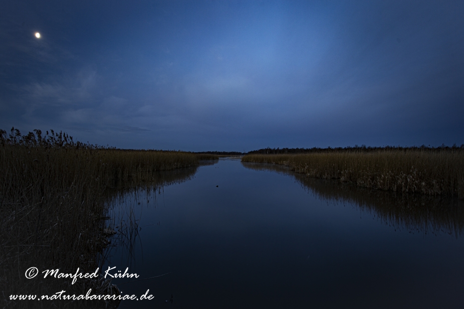 Federsee (Baden-Wuerttemberg)_0095