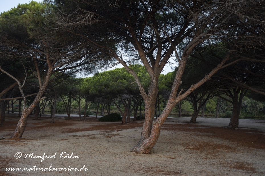 Sardinien (Italien)_0896