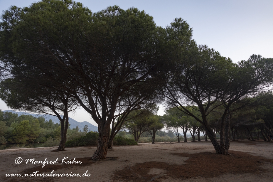 Sardinien (Italien)_0898