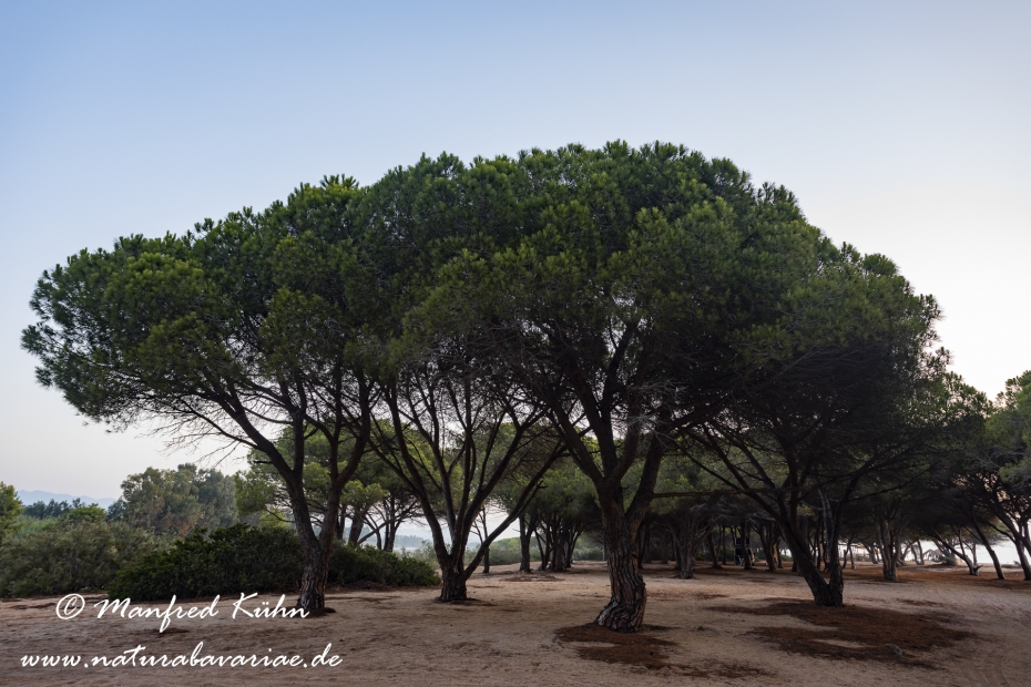 Sardinien (Italien)_0901