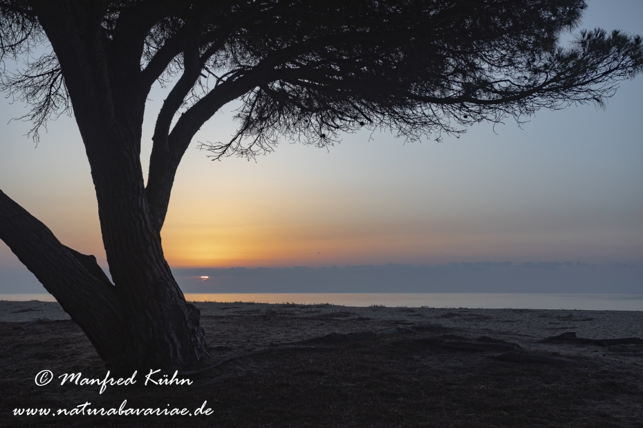 Sardinien (Italien)_0903