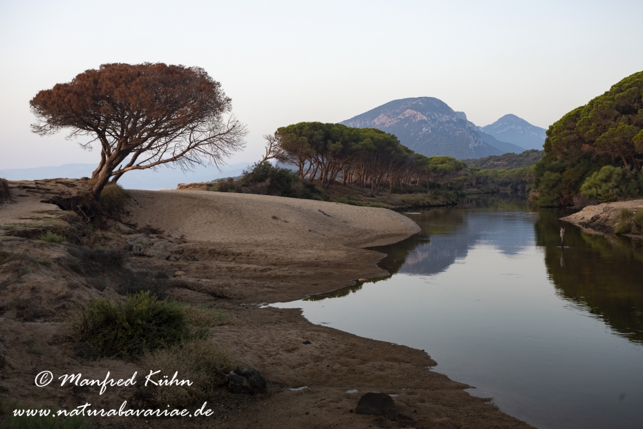 Sardinien (Italien)_0904