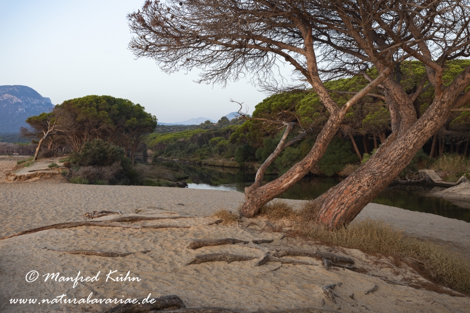 Sardinien (Italien)_0906