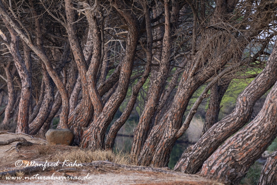 Sardinien (Italien)_0912