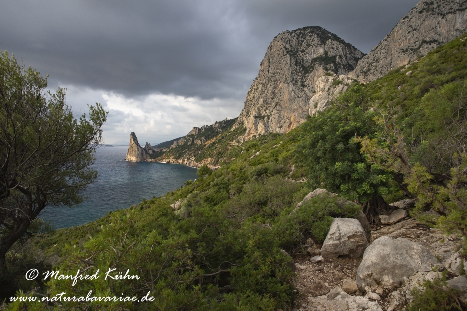 Sardinien (Italien)_0975