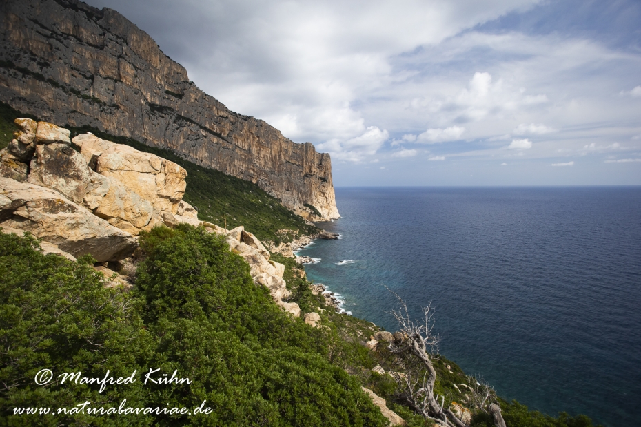 Sardinien (Italien)_0980