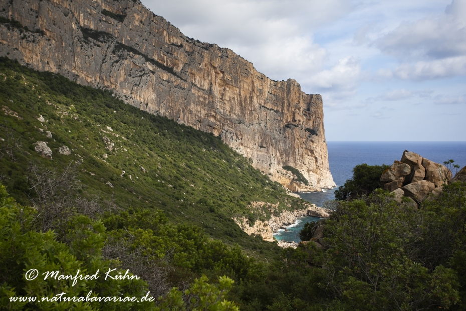Sardinien (Italien)_0986