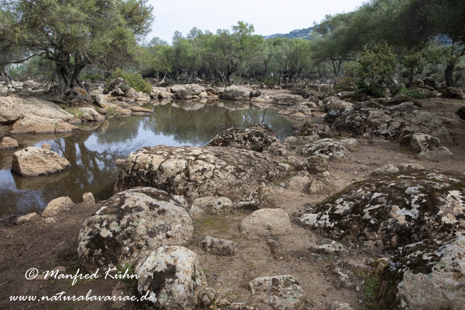 Sardinien (Italien)_1009