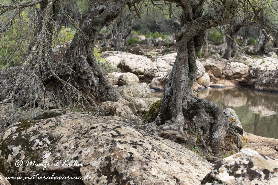 Sardinien (Italien)_1018