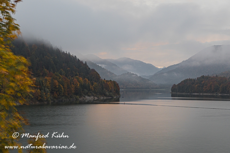 Sylvensteinstausee (BAY_LKR_TÖL)_0004