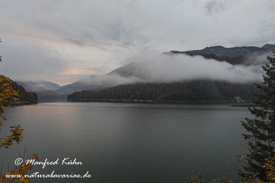 Sylvensteinstausee (BAY_LKR_TÖL)_0006
