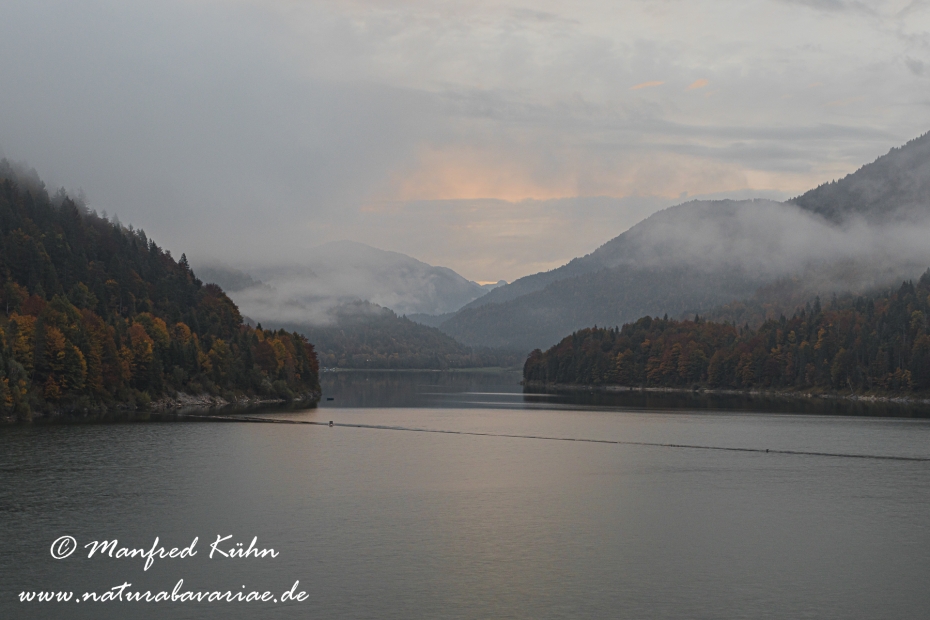Sylvensteinstausee (BAY_LKR_TÖL)_0009