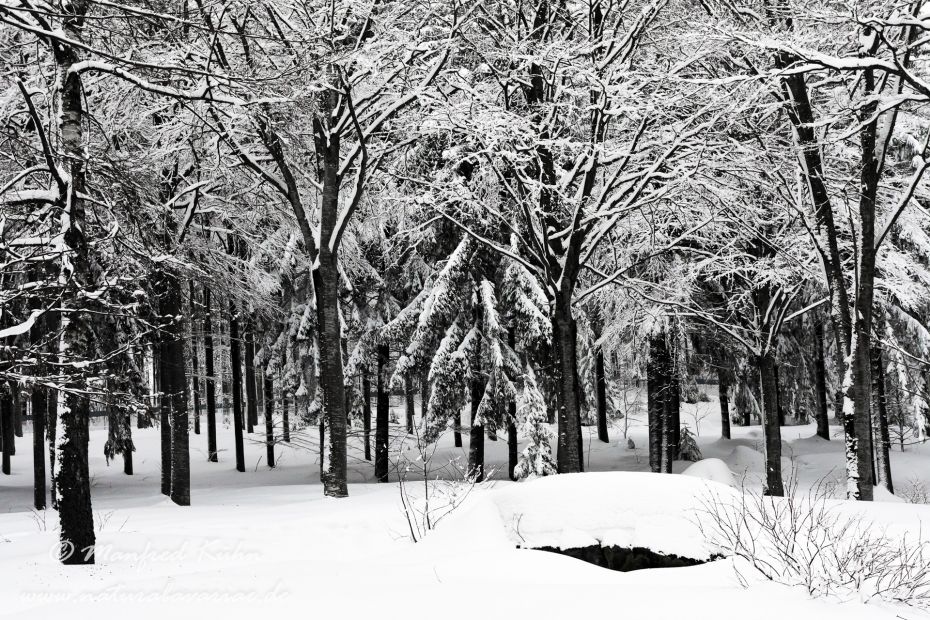 Winter ()_0004