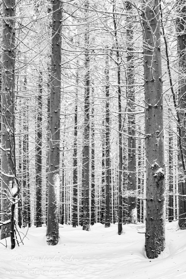 Winter ()_0022