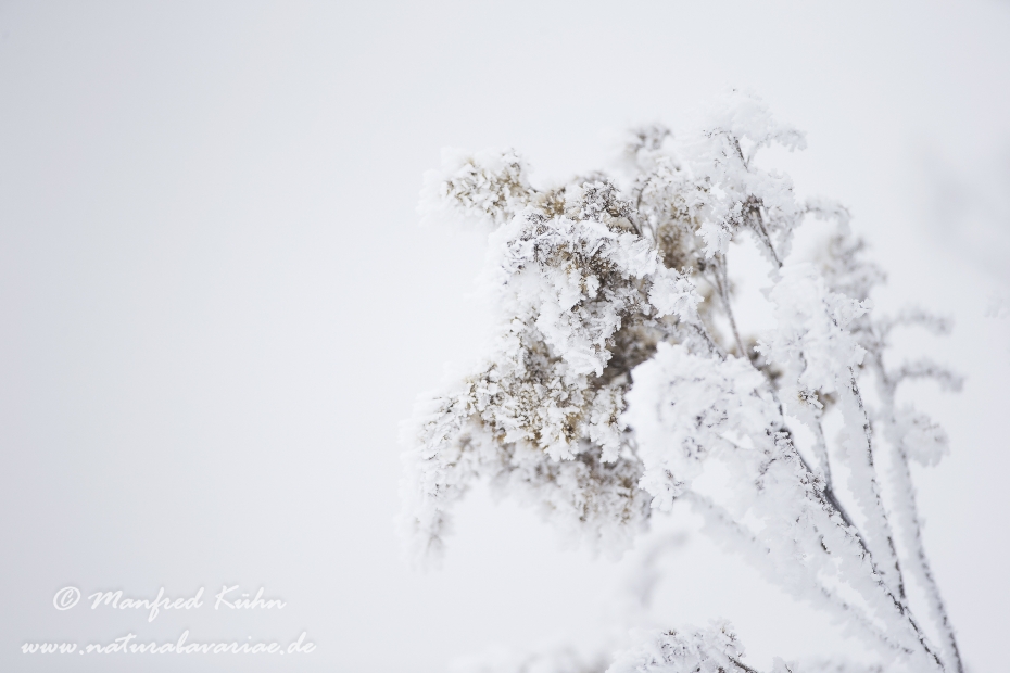 Winter (Details)_0009
