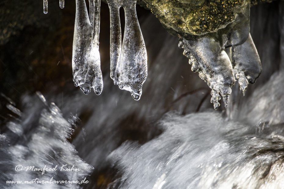 Winter (Eis)_0031