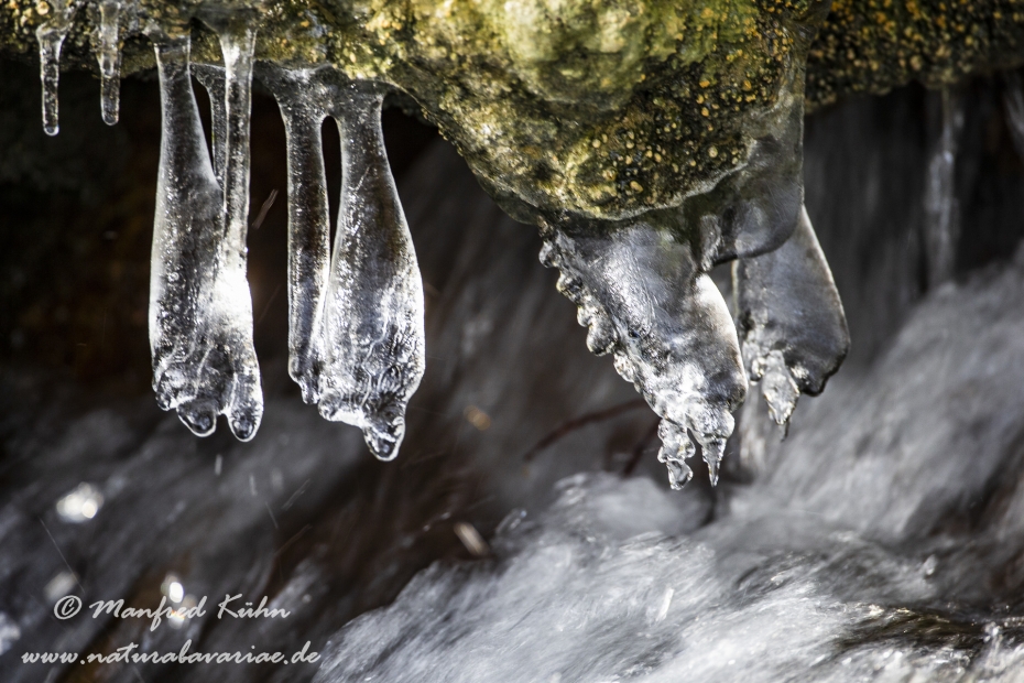 Winter (Eis)_0032