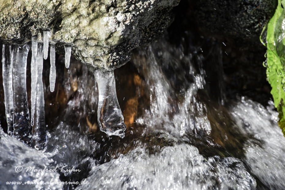 Winter (Eis)_0034