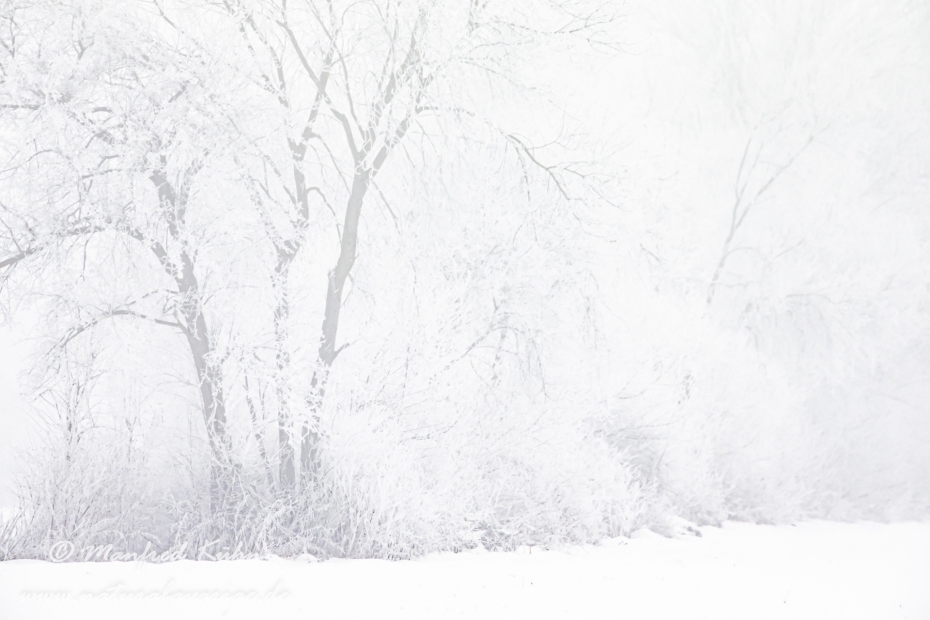 Winter (Nebel)_0003