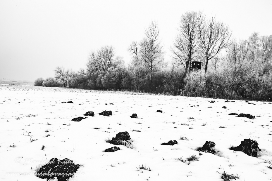 Winter (Rauhreif)_0024