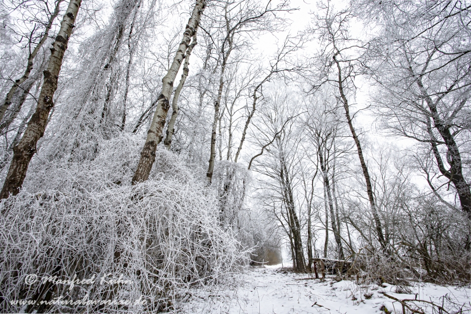 Winter (Rauhreif)_0027