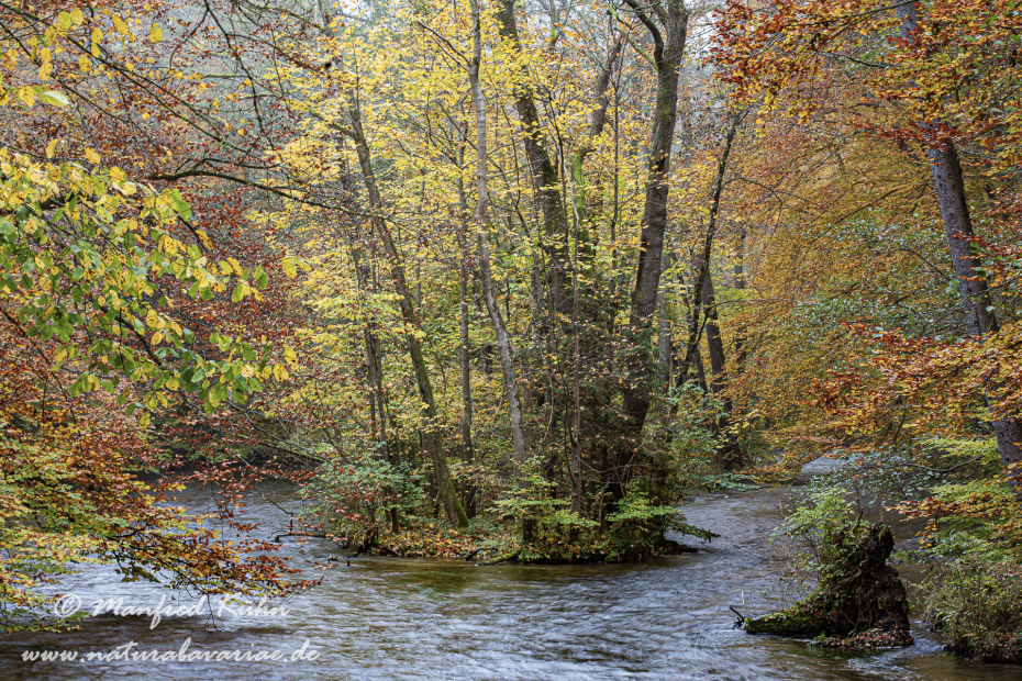 Herbst (am Wasser)_0001