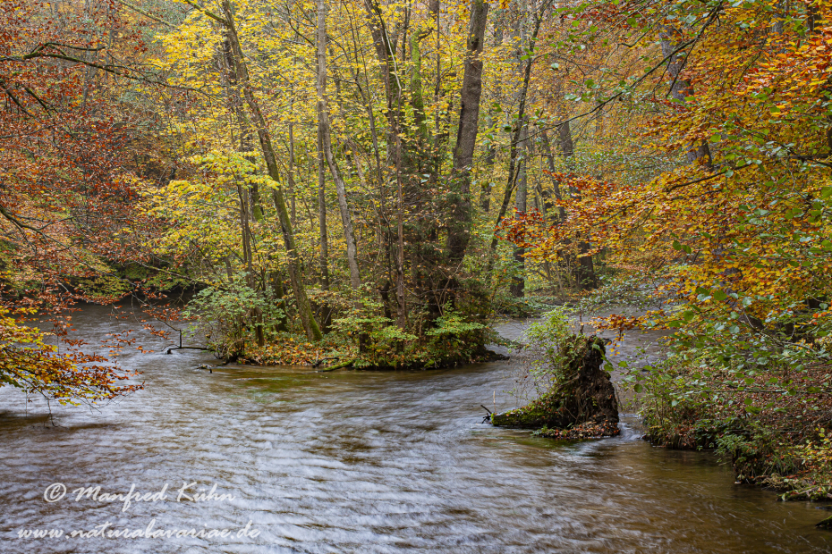 Herbst (am Wasser)_0003