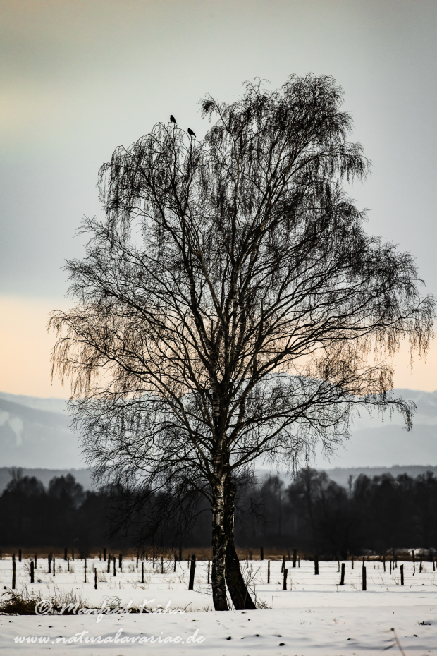 Ammersee (BAY_LKR_FFB)_0001