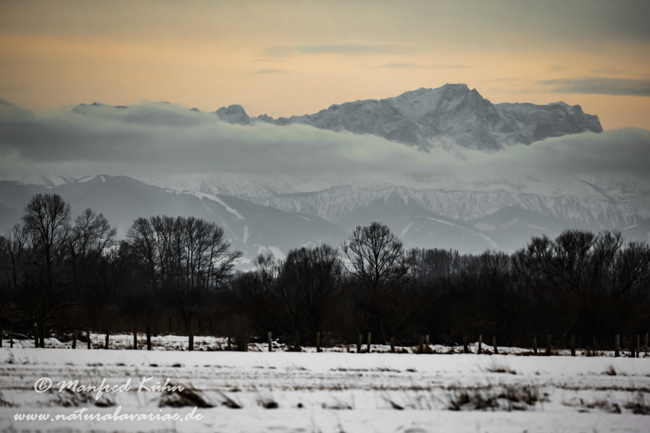 Ammersee (BAY_LKR_FFB)_0006