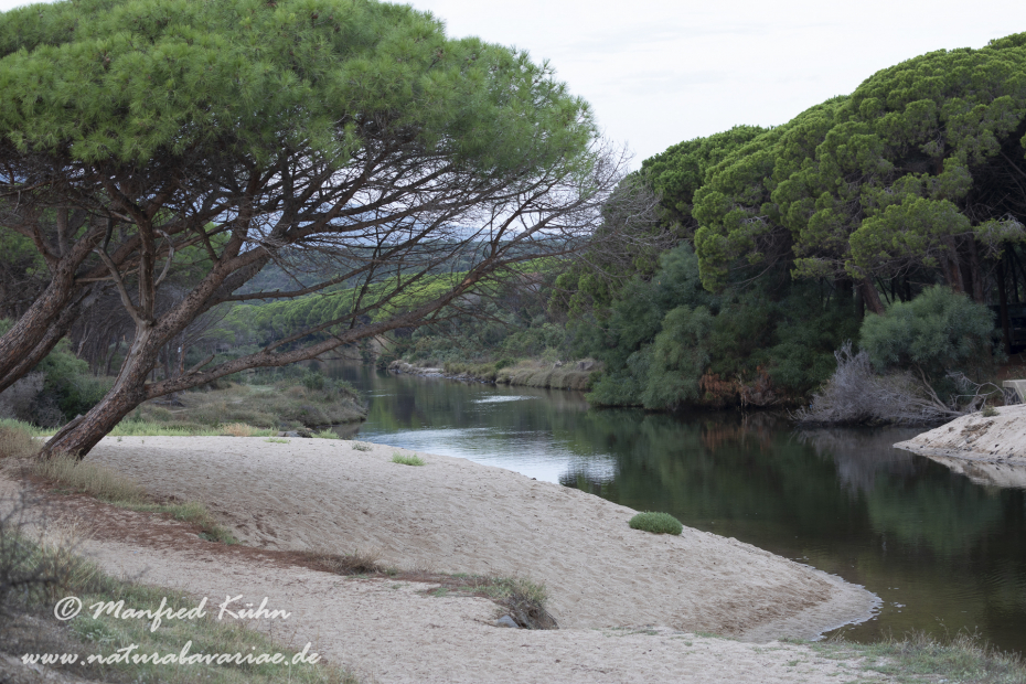Sardinien (Italien)_0654
