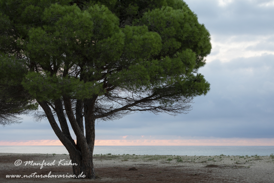 Sardinien (Italien)_0658