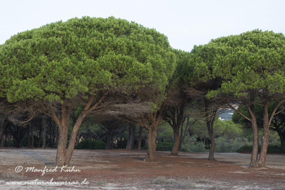Sardinien (Italien)_0677