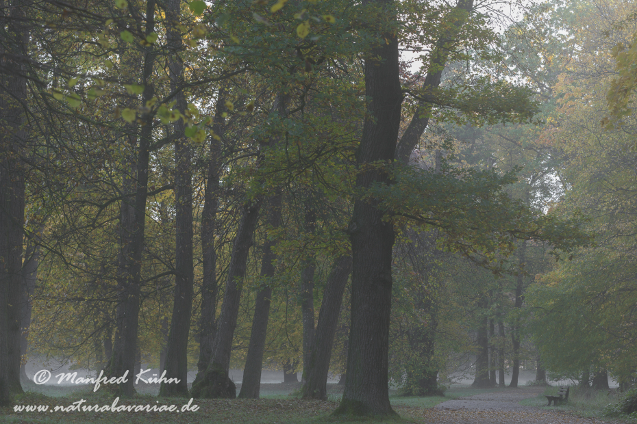 Nymphenburg-Schloss (BAY_Stadt_M)_0072