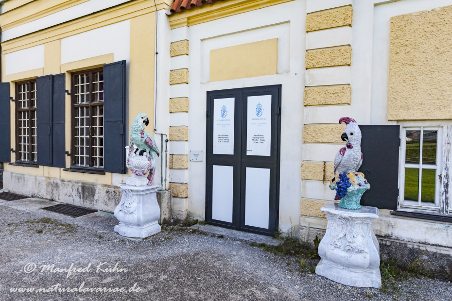 Nymphenburg-Schloss (BAY_Stadt_M)_0104
