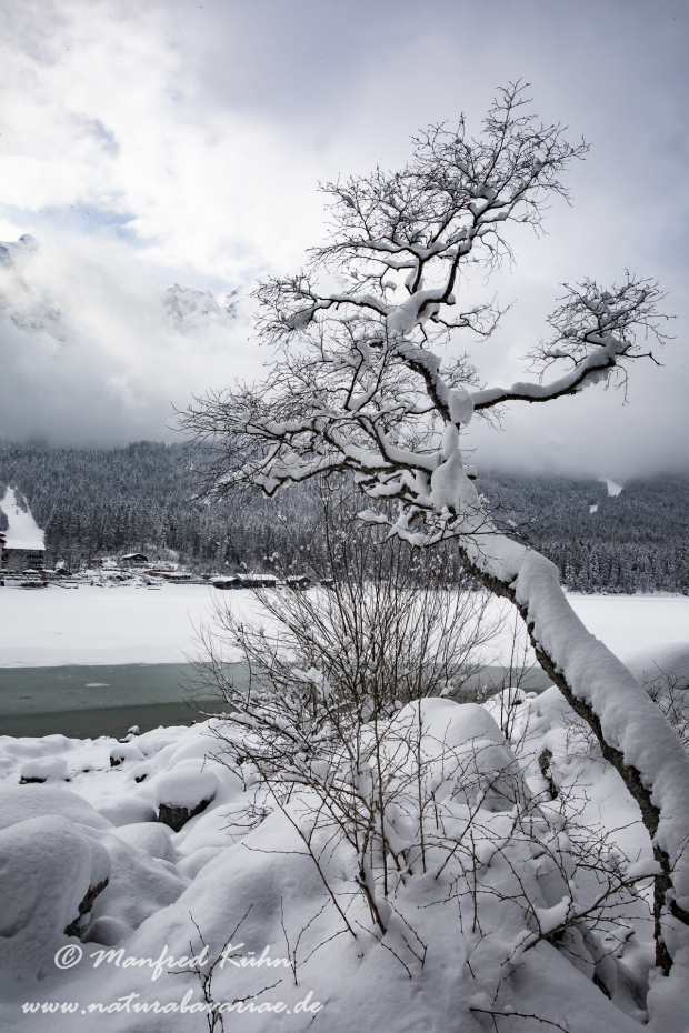 Eibsee (LKR_GAP)_0062
