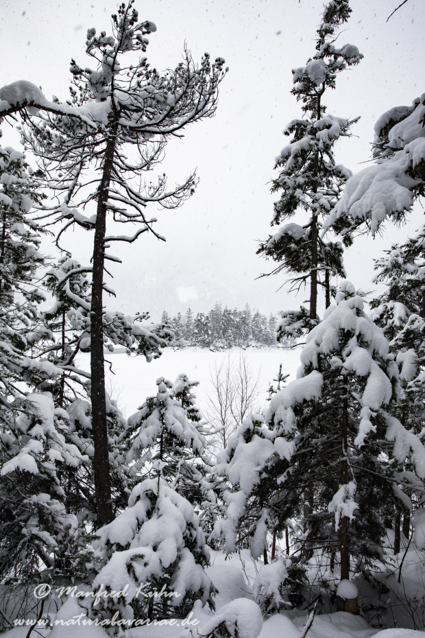 Eibsee (LKR_GAP)_0069
