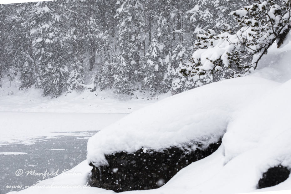 Eibsee (LKR_GAP)_0076