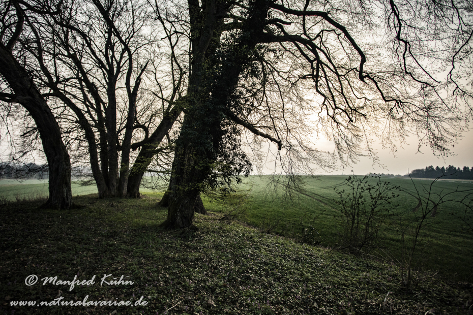 Sonnenaufgang ()_0121