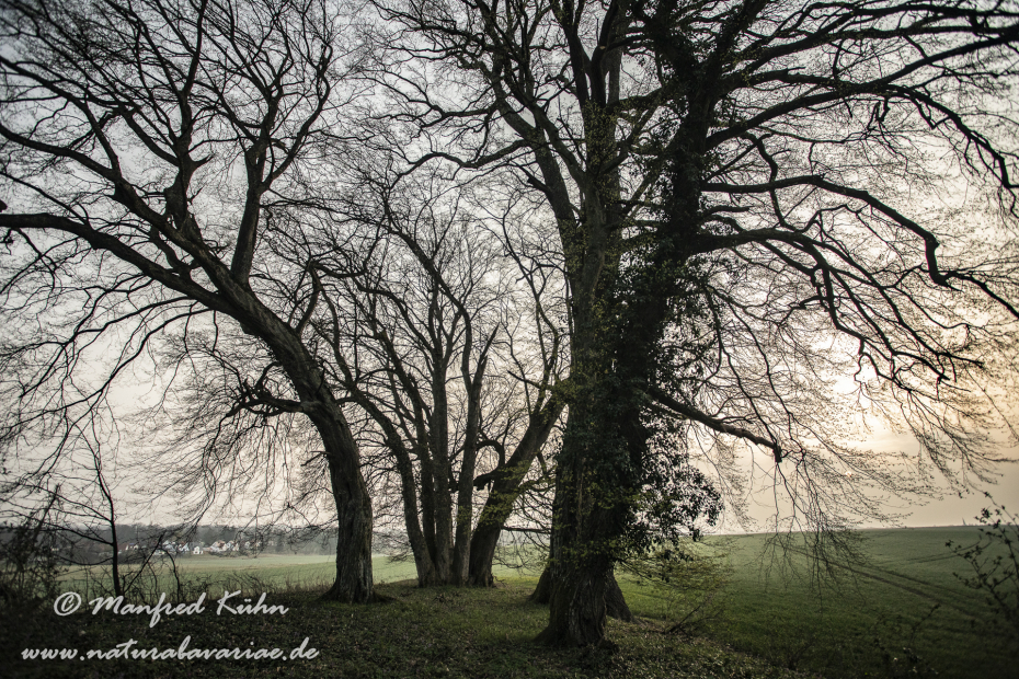 Sonnenaufgang ()_0124