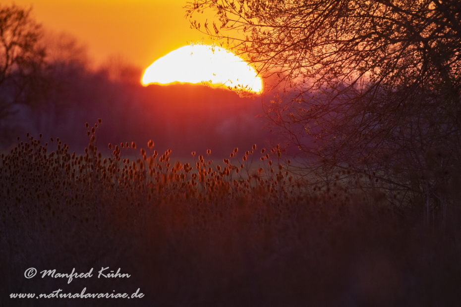 Sonnenaufgang ()_0125
