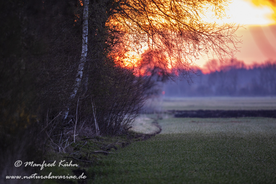 Sonnenaufgang ()_0127