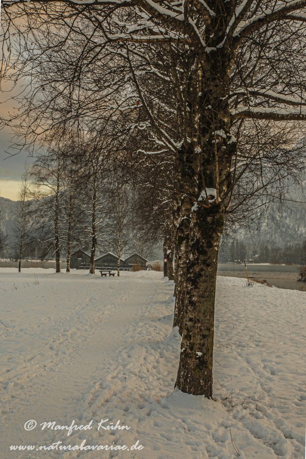 Kochelsee (BAY_LKR_TÖL)_0025