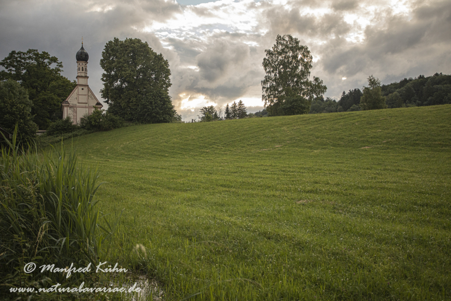Murnauer Moos (BAY_LKR_GAP)_0036