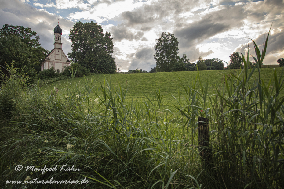 Murnauer Moos (BAY_LKR_GAP)_0038