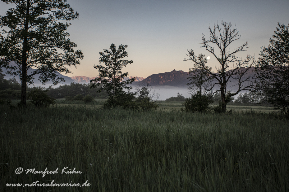Murnauer Moos (BAY_LKR_GAP)_0056