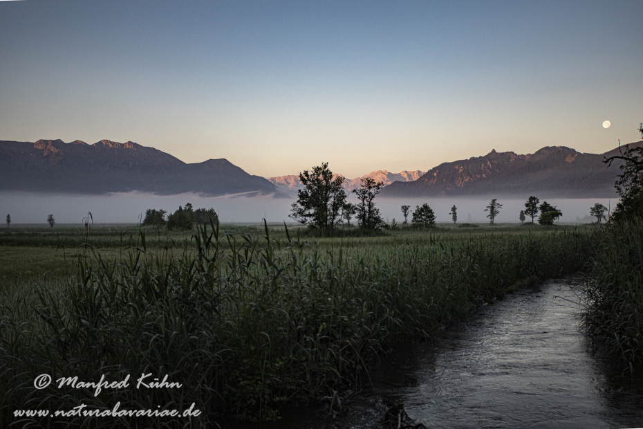 Murnauer Moos (BAY_LKR_GAP)_0058