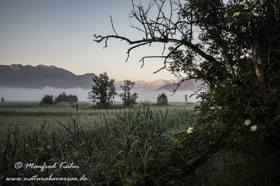 Murnauer Moos (BAY_LKR_GAP)_0059