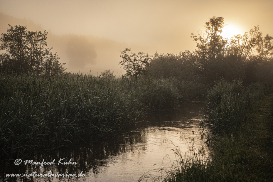 Murnauer Moos (BAY_LKR_GAP)_0064