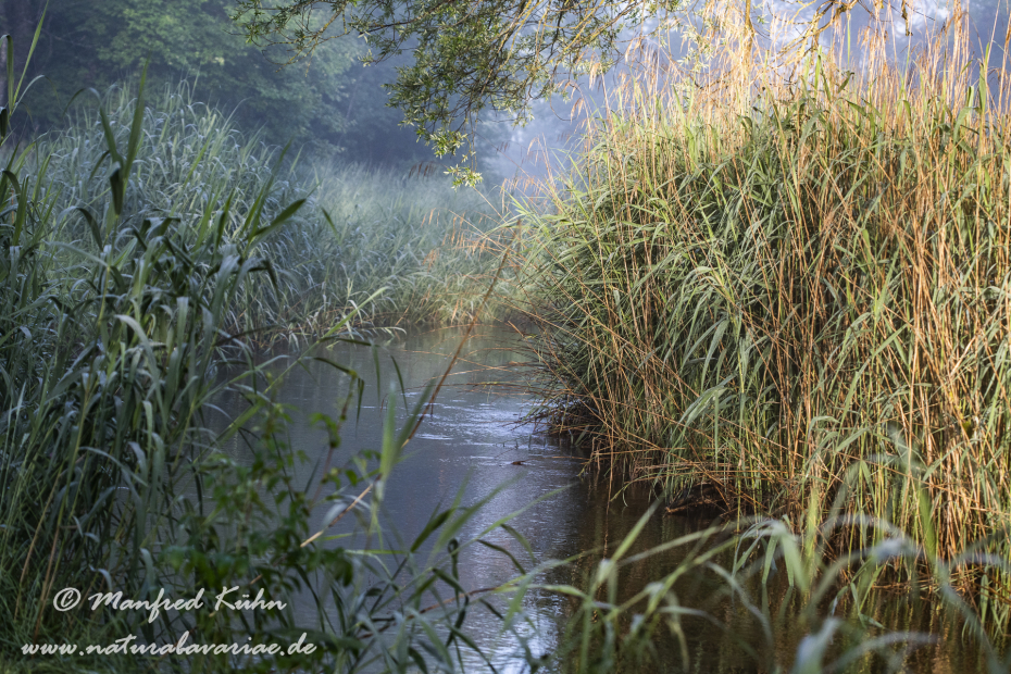 Murnauer Moos (BAY_LKR_GAP)_0068
